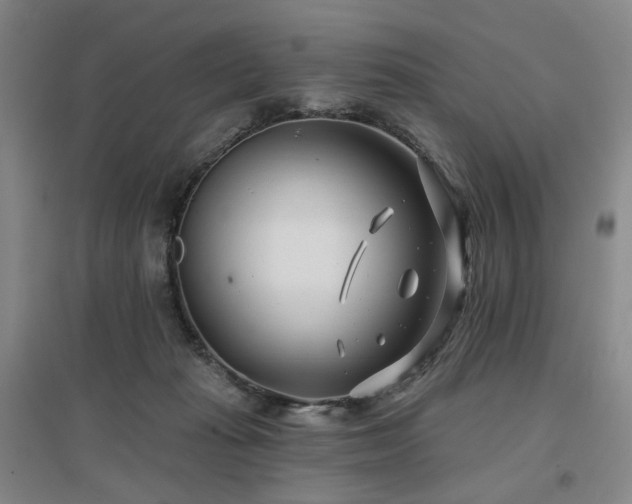 X0000097470269200802221242