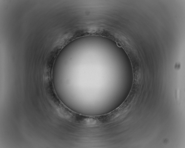 X0000097470272200802221242
