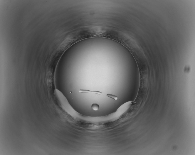 X0000097470274200802221243