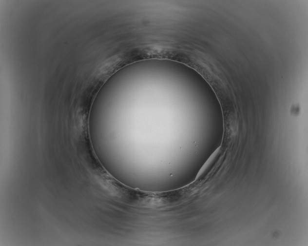 X0000097470276200802221243