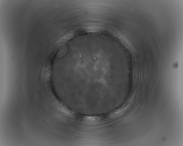 X0000097470277200802221243