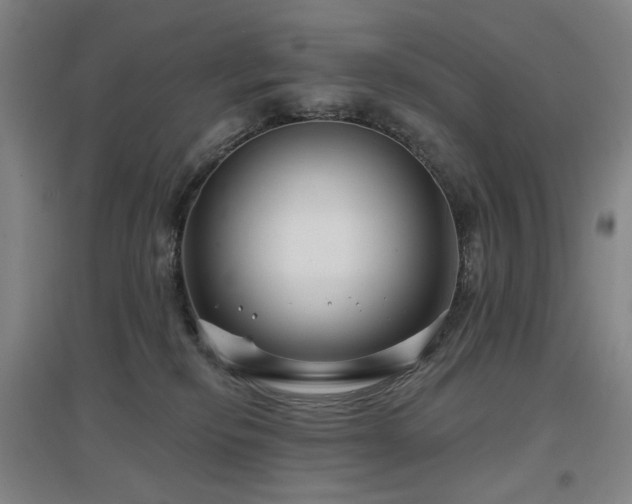 X0000097470278200802221243