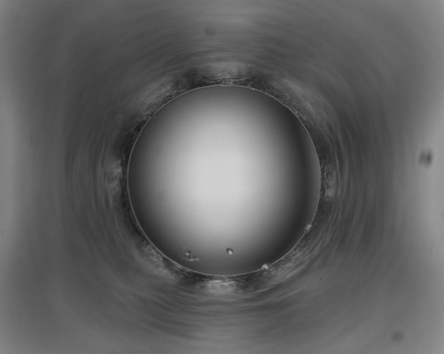 X0000097470279200802221243