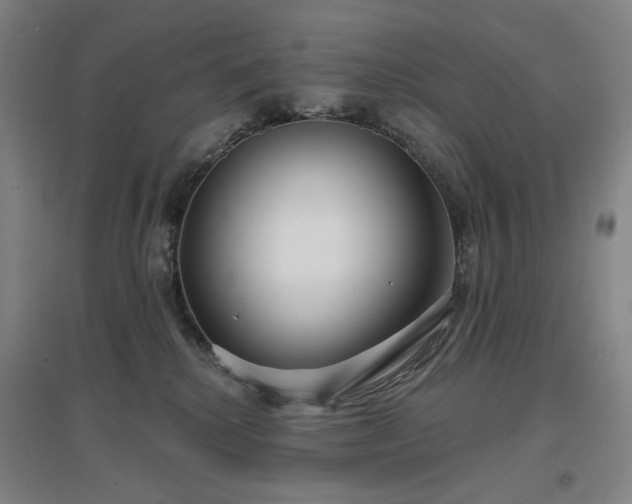X0000097470280200802221243