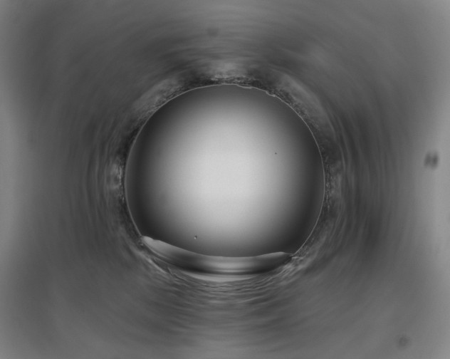 X0000097470281200802221243