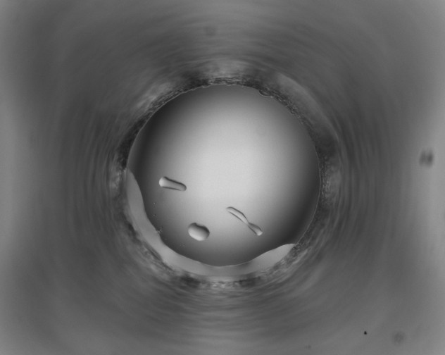 X0000097470282200802221243