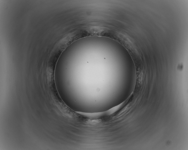 X0000097470283200802221243