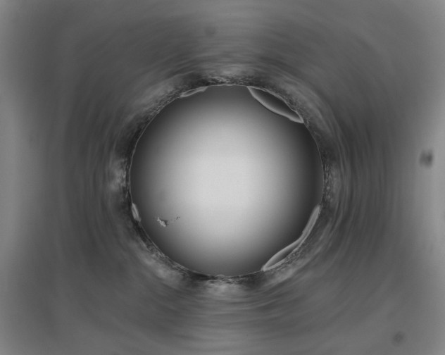 X0000097470284200802221243