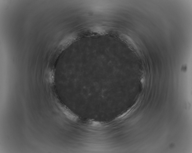 X0000097470285200802221243