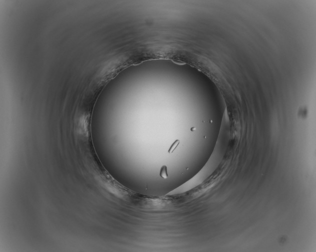 X0000097470286200802221243