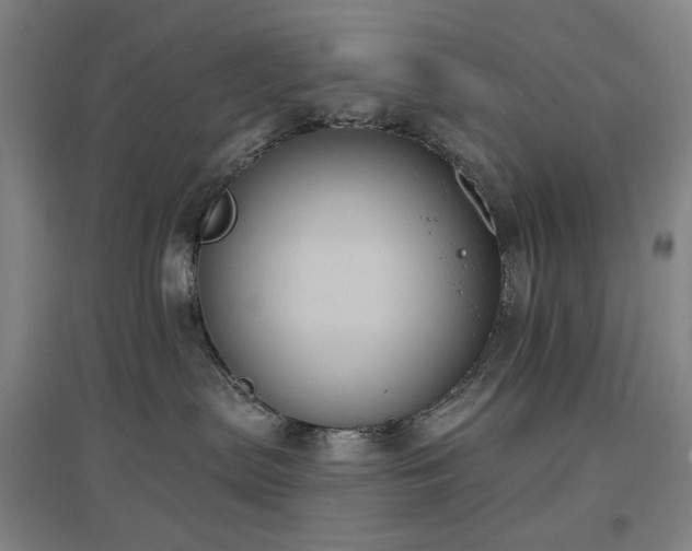 X0000097470287200802221243