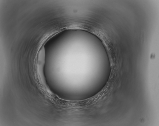 X0000097470289200802221242