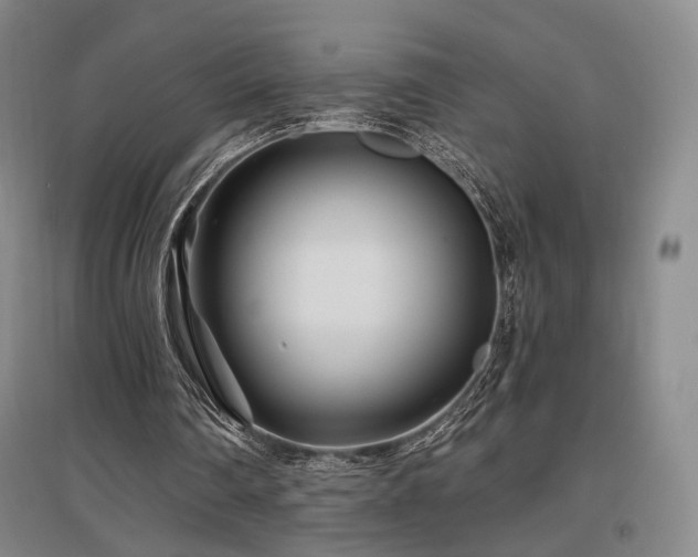 X0000097470290200802221242