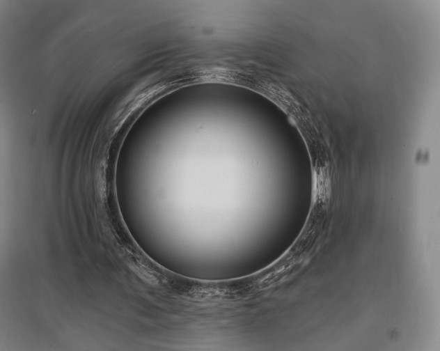 X0000097470291200802221242