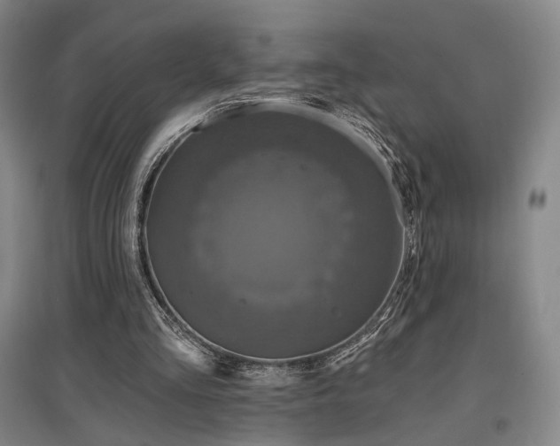 X0000097470293200802221242