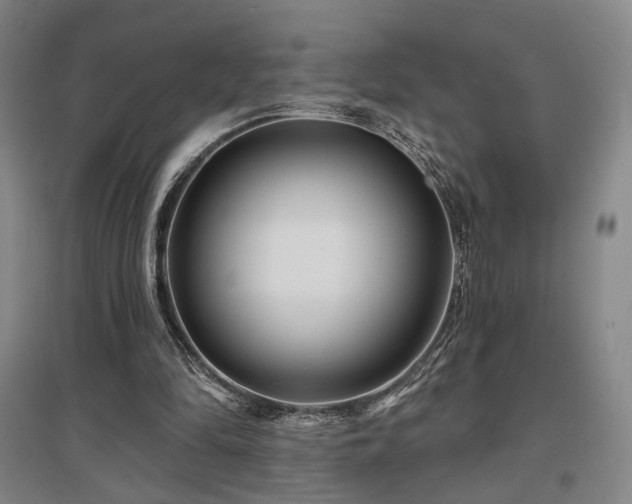 X0000097470294200802221242