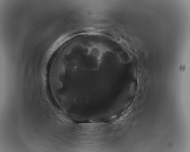 X0000097470295200802221242