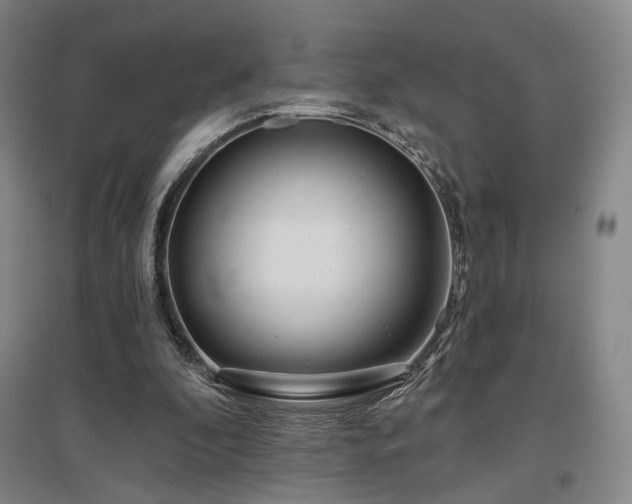 X0000097470296200802221242