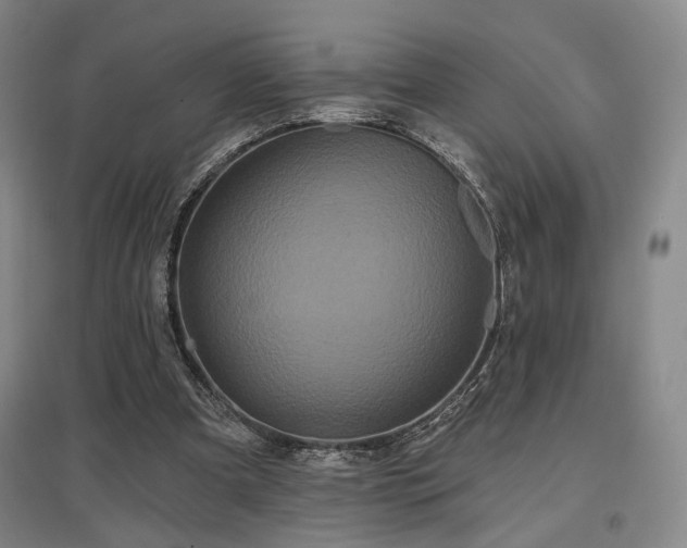 X0000097470297200802221242