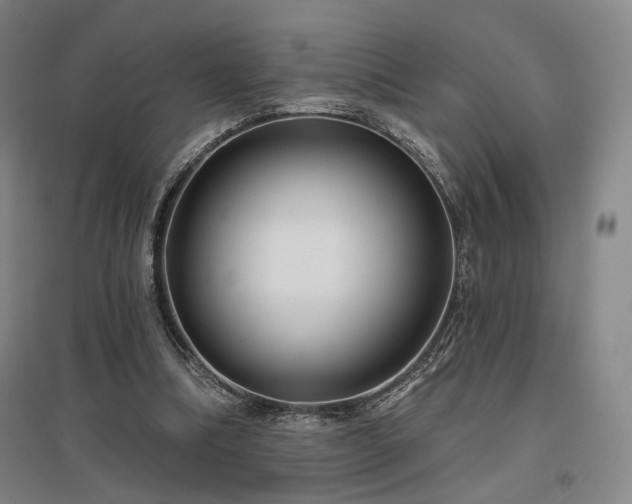X0000097470298200802221242