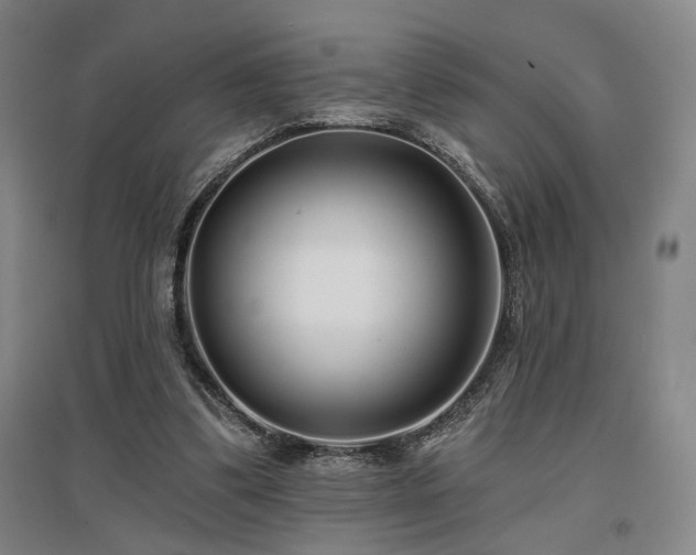 X0000097470299200802221242