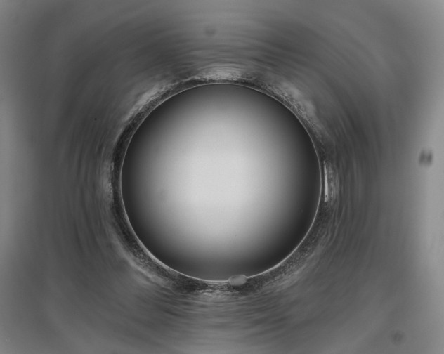 X0000097470300200802221242