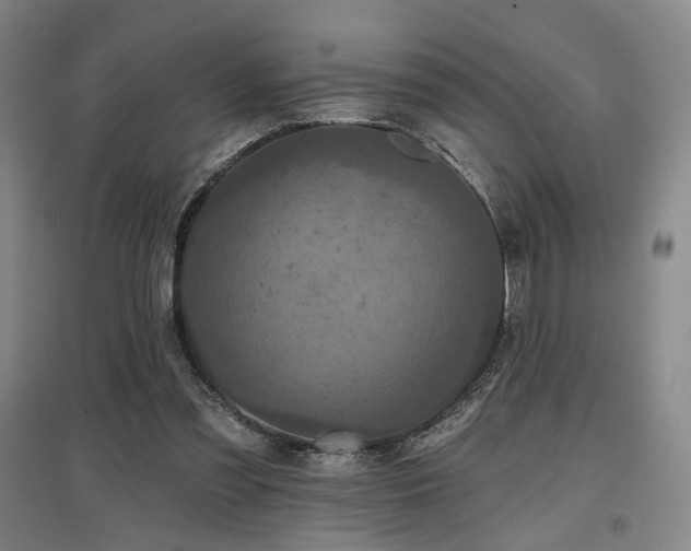 X0000097470301200802221242