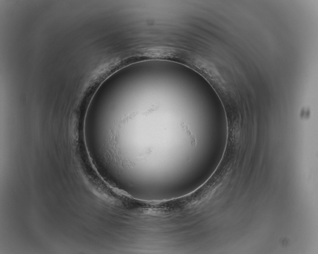 X0000097470303200802221242
