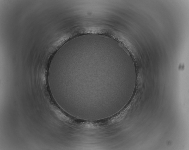 X0000097470305200802221242