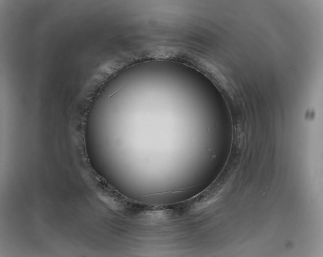 X0000097470307200802221242