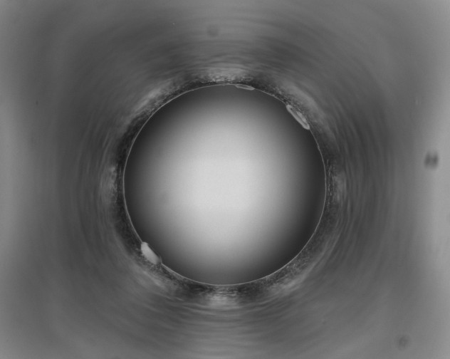 X0000097470308200802221242