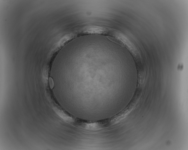 X0000097470309200802221242