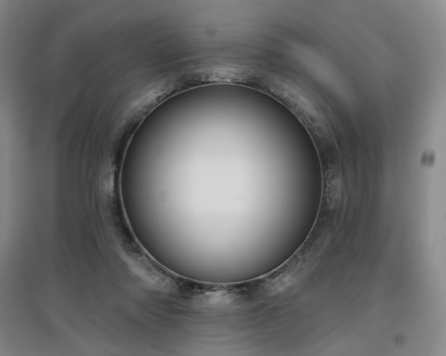 X0000097470310200802221242