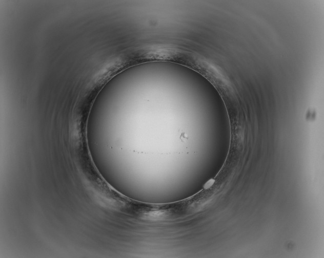 X0000097470312200802221242