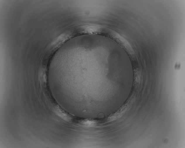 X0000097470313200802221242