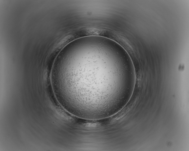 X0000097470314200802221242