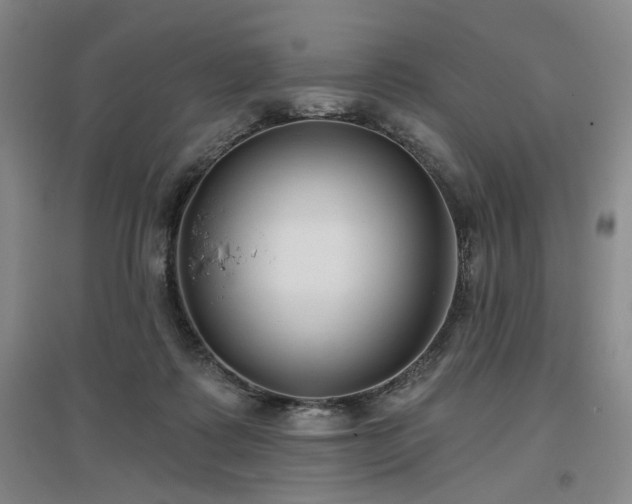 X0000097470315200802221242