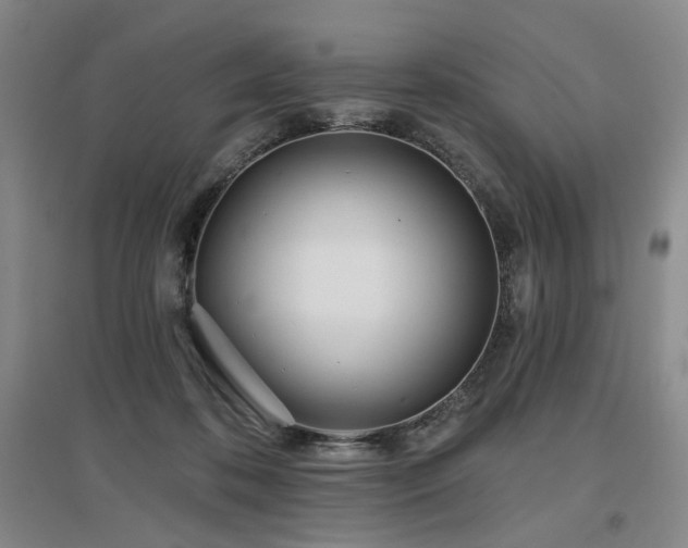 X0000097470316200802221242