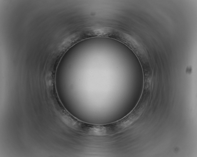 X0000097470317200802221241