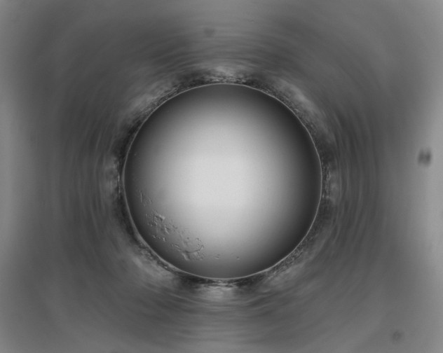 X0000097470318200802221241