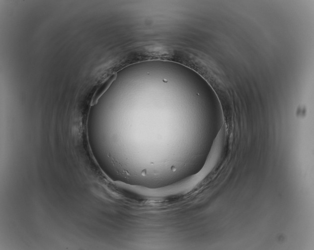 X0000097470320200802221241
