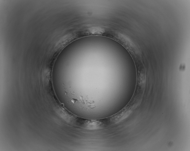 X0000097470321200802221241