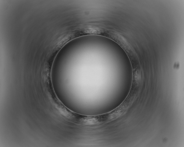 X0000097470322200802221241