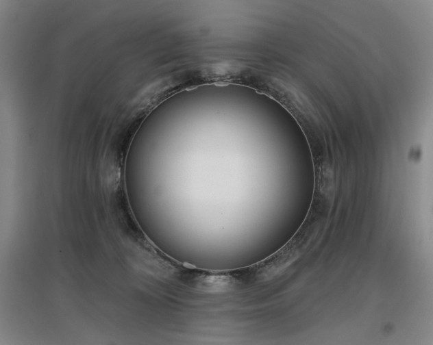 X0000097470324200802221241