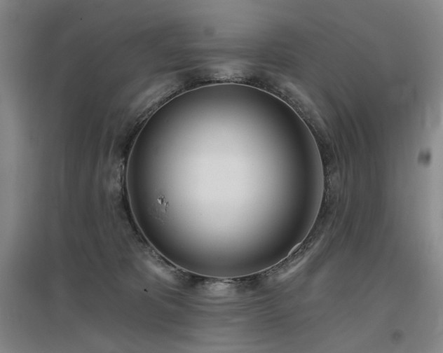 X0000097470325200802221241