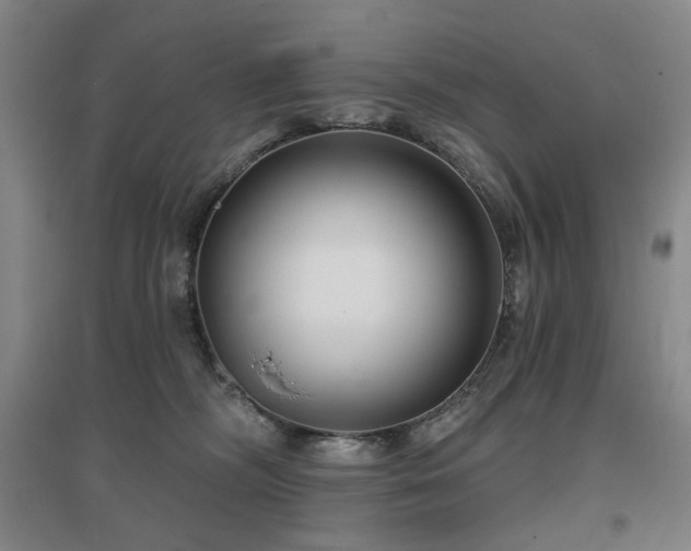 X0000097470326200802221241