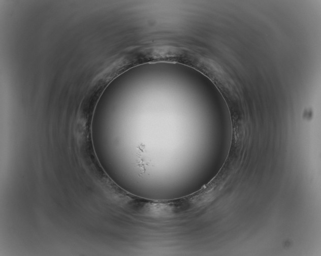 X0000097470327200802221241