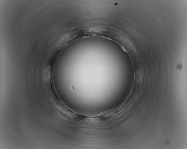 X0000097470328200802221241
