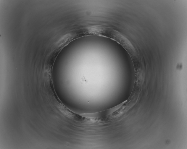 X0000097470329200802221241