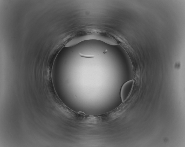 X0000097470330200802221241